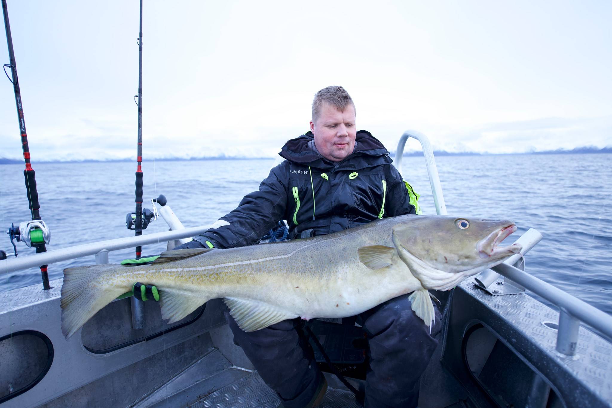 Top Tips On Cod Fishing Sørøya