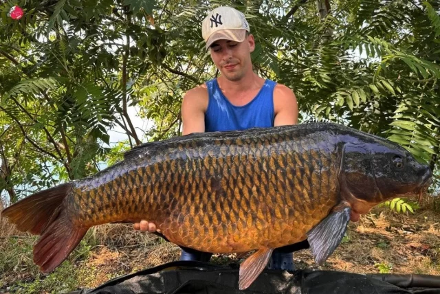 Našimi klienty oblíbený Koiland Lake. Neuvěřitelné, co zde plave za monstra. 😱💥 
Fishtime.cz / Fishtime.eu 

Koiland Lake is a favorite among our clients. It's unbelievable what monsters swim here. 😱💥
Fishtime.cz / Fishtime.eu

#lake #italy #carp #carpfishing #koilandlake #fishtime #bigcarp #bigfish #fishing #rybareni #kapr #chytamesfishtimecz #neztracejcaschytej #carpstyle
